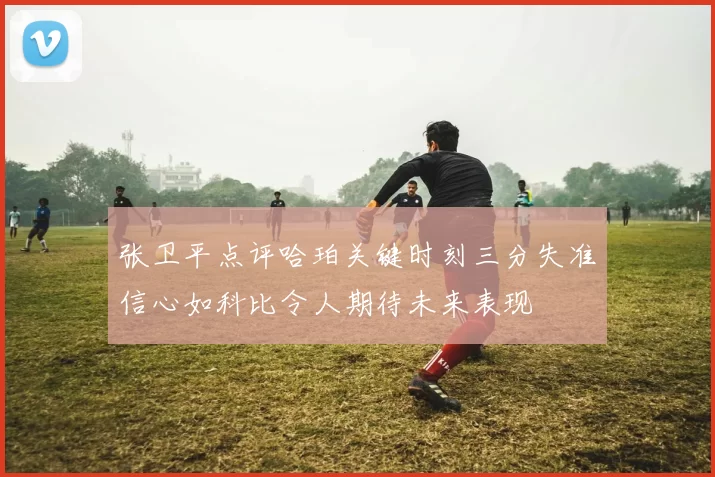 张卫平点评哈珀关键时刻三分失准信心如科比令人期待未来表现